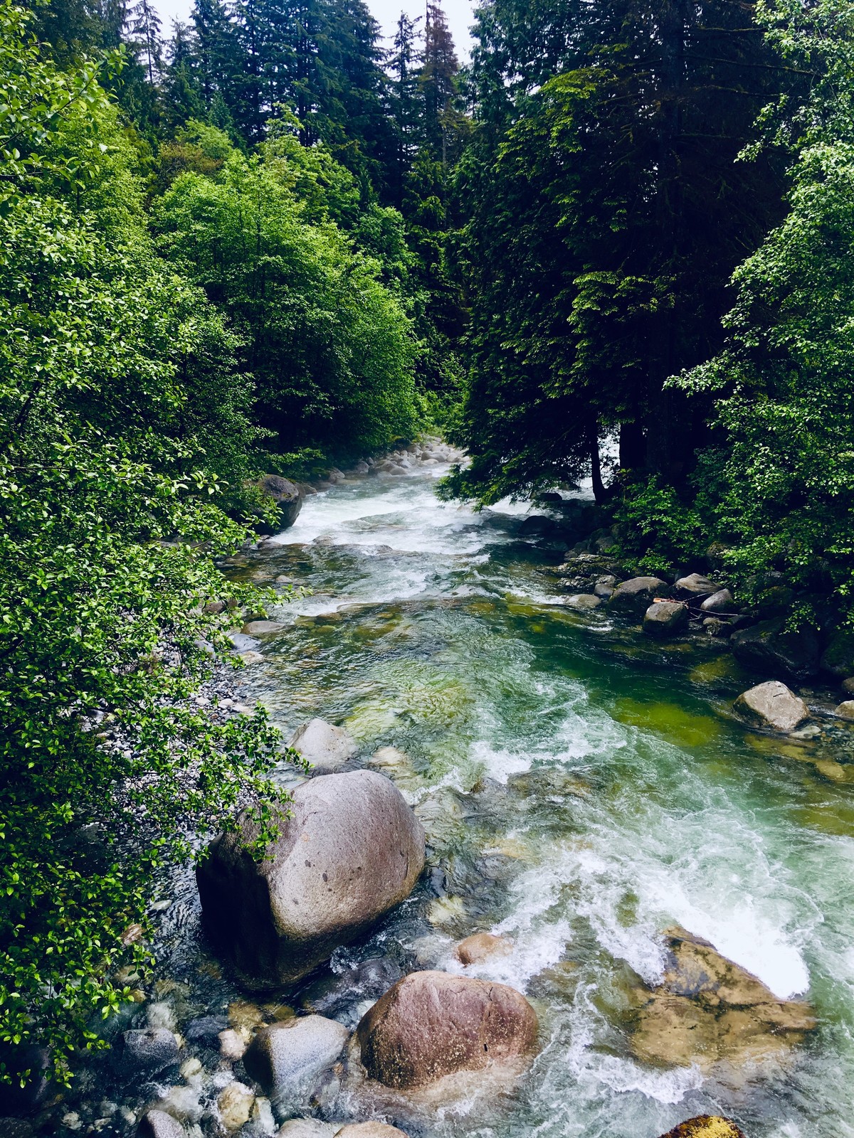 Varley Trail with Rice Lake Loop Update St. Catherine's Church